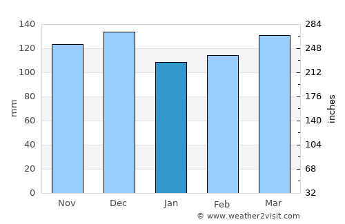 Jackson average rain in January