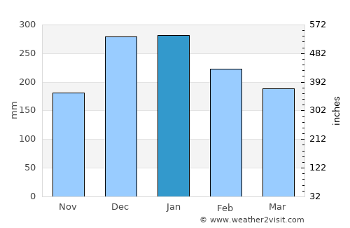Jacutinga average rain in January