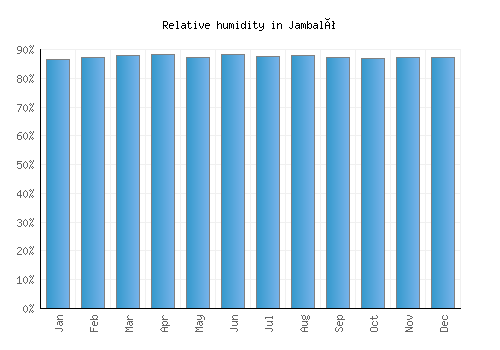 Jambaló relative humidity averages