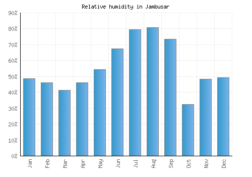 Jambusar relative humidity averages