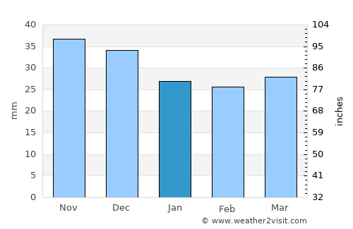 Janów Lubelski average rain in January