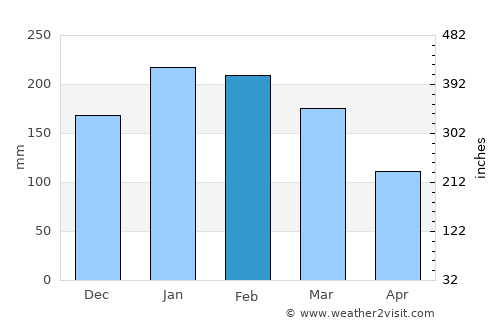 Jaraguá do Sul average rain in February