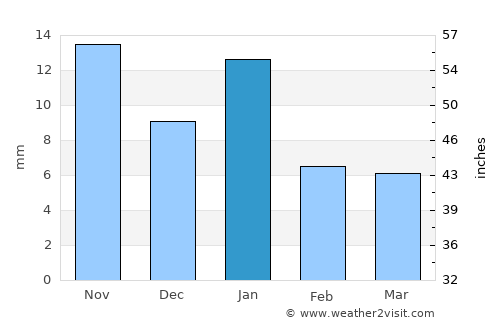 Jaral del Progreso average rain in January