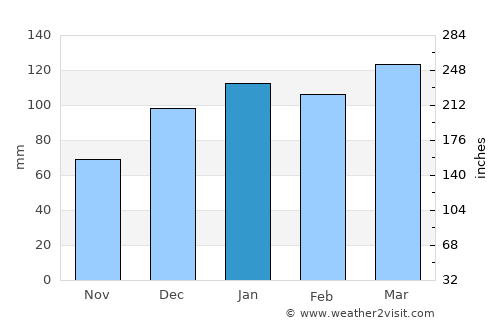 Jasper average rain in January