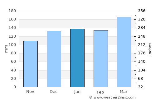 Jasper average rain in January