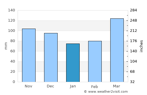 Jasper average rain in January
