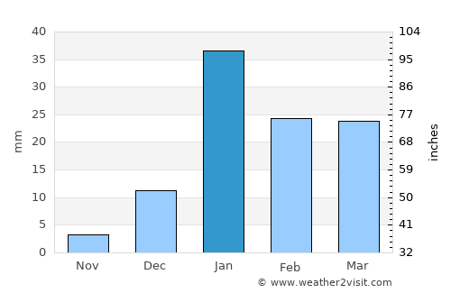 Jaspur average rain in January