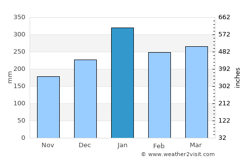 Jayapura average rain in January