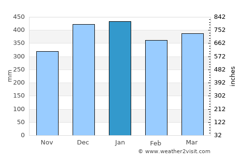 Jember average rain in January