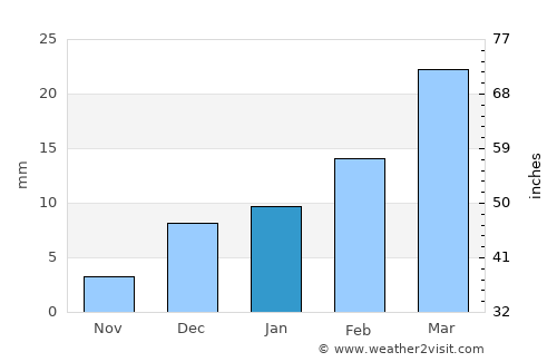 Jhang Sadr average rain in January