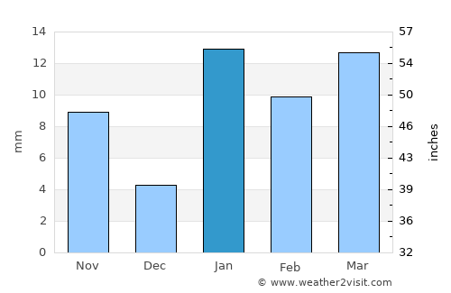 Jhanjhārpur average rain in January