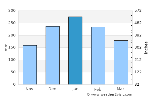 Joanópolis average rain in January