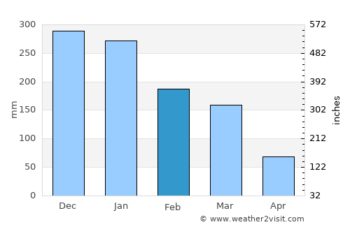 João Pinheiro average rain in February
