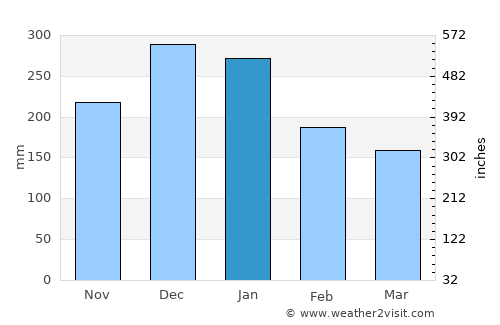 João Pinheiro average rain in January