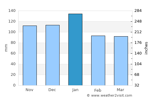 Johannesburg average rain in January