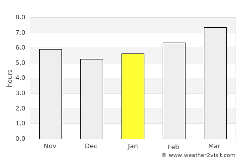Johnson City average rain in January
