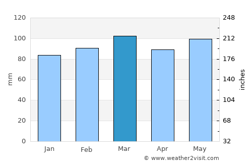 Johnson City average rain in March