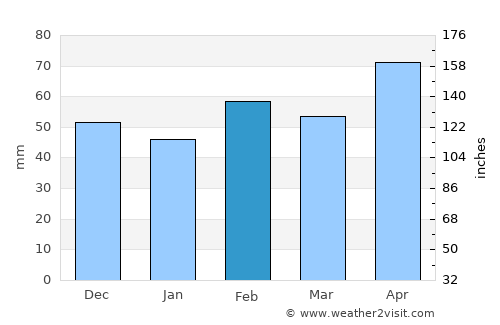 Johnson City average rain in February
