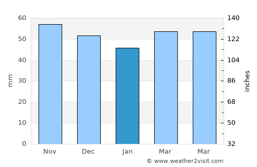Johnson City average rain in January