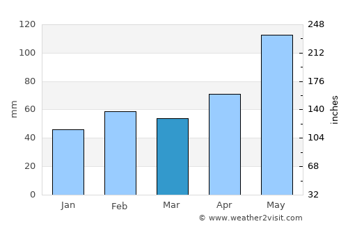 Johnson City average rain in March