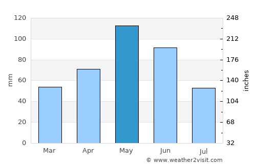 Johnson City average rain in May