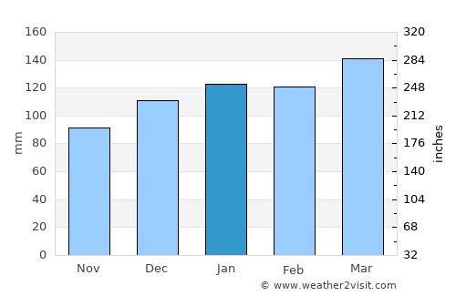 Jonesboro average rain in January