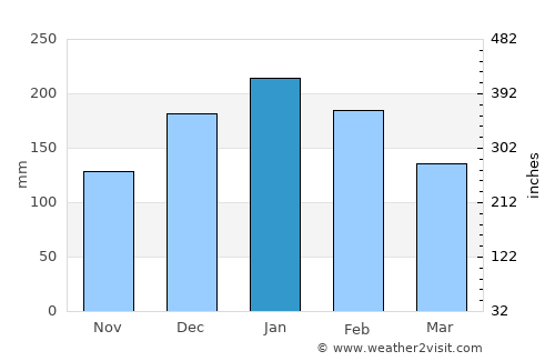 José Bonifácio average rain in January