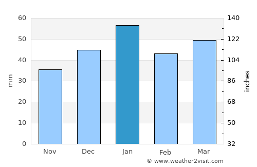 Joshua Tree average rain in January