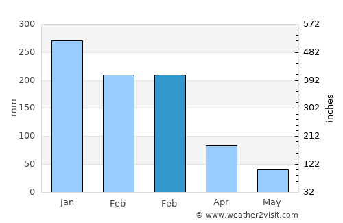 Juiz de Fora average rain in February