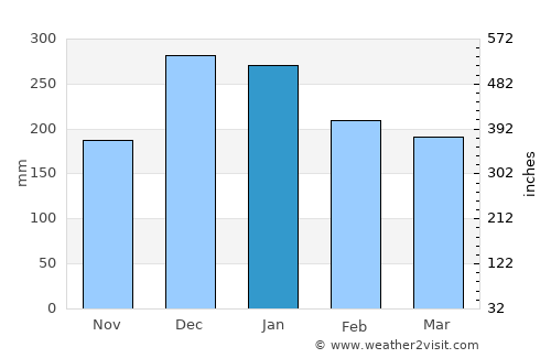 Juiz de Fora average rain in January