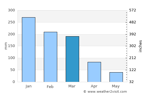 Juiz de Fora average rain in March