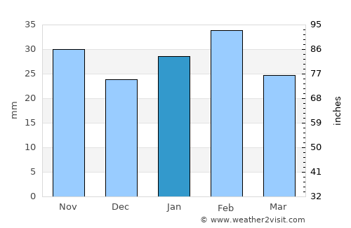 Junction average rain in January