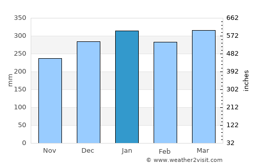 Jutaí average rain in January