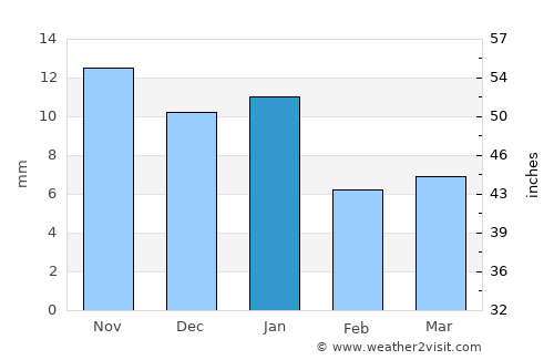 Juventino Rosas average rain in January