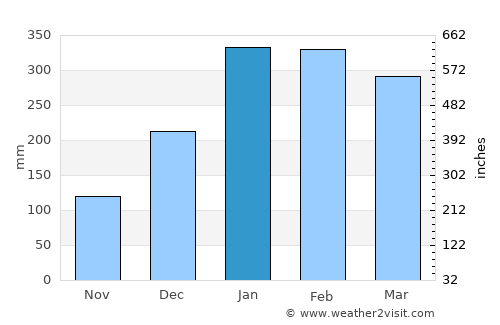 Kakadu National Park average rain in January