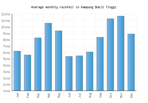 Kampung Bukit Tinggi monthly rainfall chart (inches)