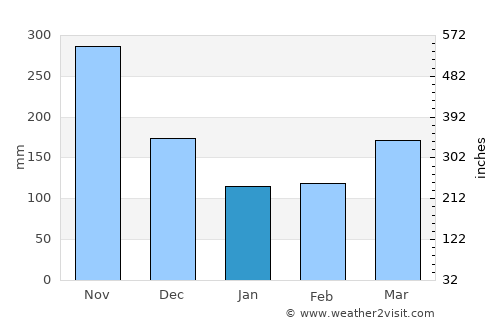 Kampung Sungai Ara average rain in January