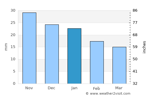 Kamyshlov average rain in January