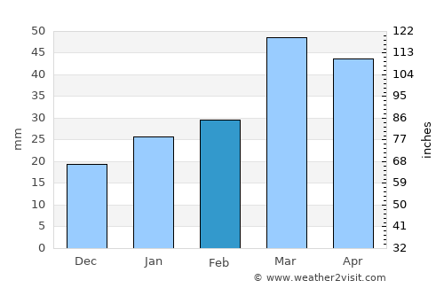 Kargil average rain in February