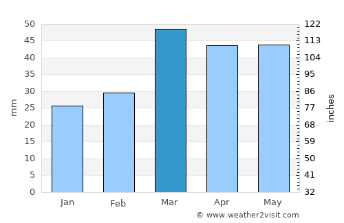 Kargil average rain in March