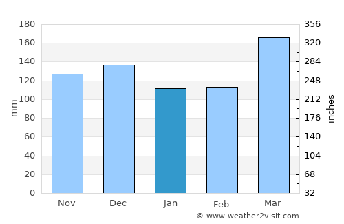 Katikati average rain in January