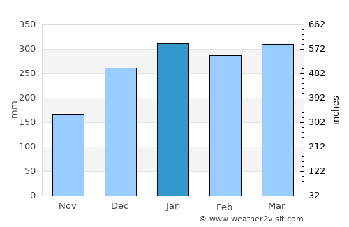 Kedungwaru average rain in January