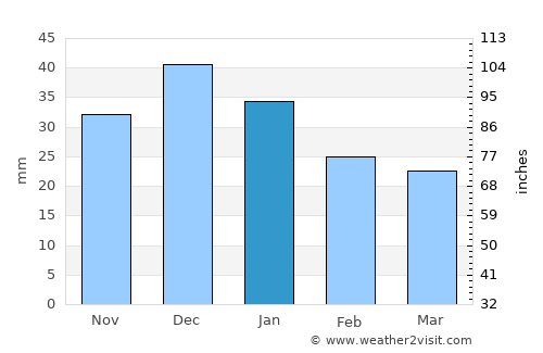 Kelowna average rain in January