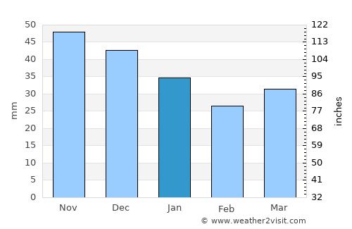 Khotsimsk average rain in January