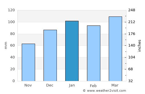 Kingstree average rain in January