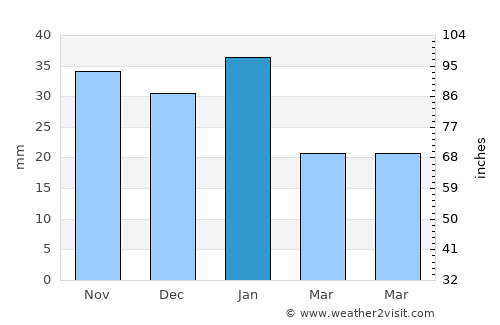 Kingsville average rain in January