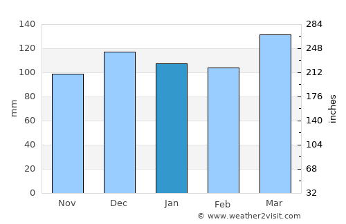 Knoxville average rain in January