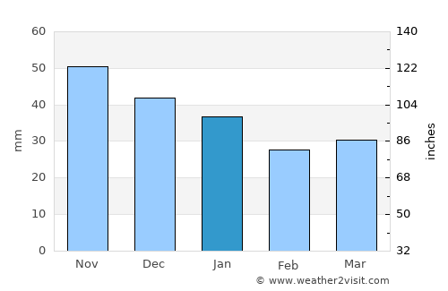 Koppang average rain in January
