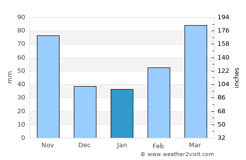 Koshigaya average rain in January