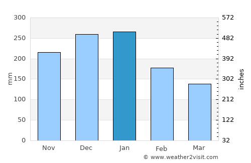 Kosugi average rain in January